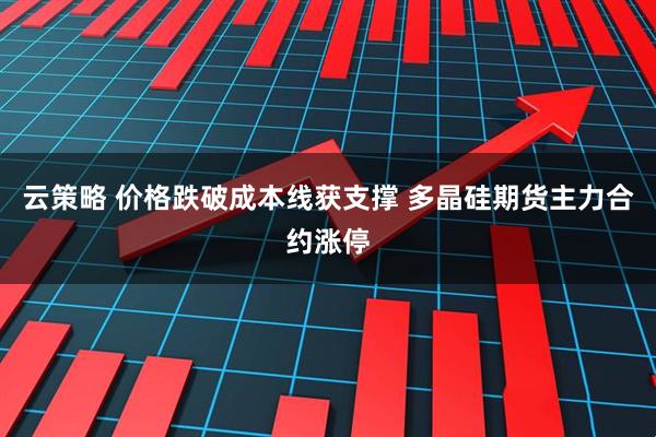 云策略 价格跌破成本线获支撑 多晶硅期货主力合约涨停
