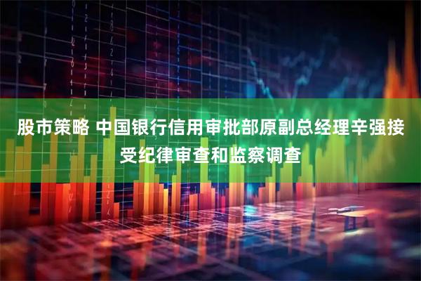 股市策略 中国银行信用审批部原副总经理辛强接受纪律审查和监察调查