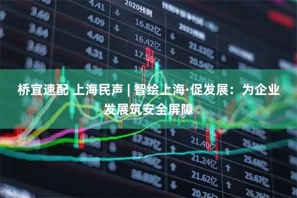 桥宜速配 上海民声 | 智绘上海·促发展：为企业发展筑安全屏障