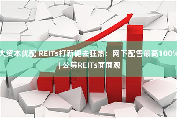 大资本优配 REITs打新褪去狂热：网下配售最高100% | 公募REITs面面观